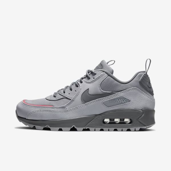 Zapatillas Nike Air Max 90 Surplus Hombre Gris Rosas Azules Claro Gris | NK412EHA