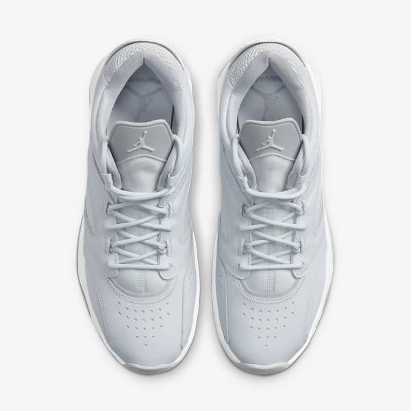 Zapatillas Nike Jordan Point Lane Hombre Plateadas Blancas Gris | NK961MCG