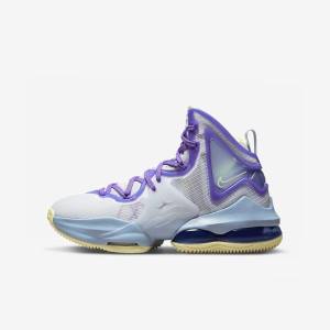 Zapatillas Baloncesto Nike LeBron 19 Older Niños Azules Moradas | NK253RLI