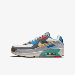 Zapatillas Nike Air Max 90 Older Niños Gris Rosas | NK397HLU